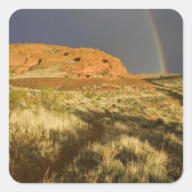 Singletrack at Red Cliffs Desert Preserve near Square Sticker (Front)