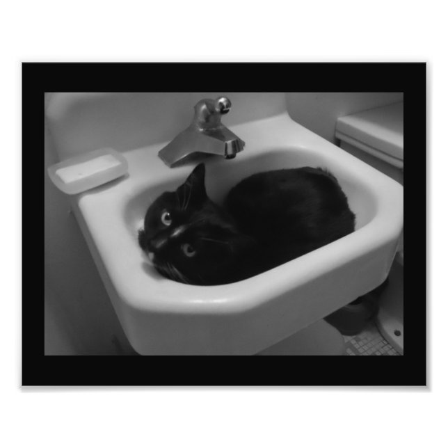 Sink Fun Photo Print (Front)