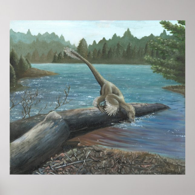 Sinornithosaurus Print (Front)