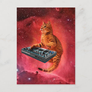 Sinthesizer cat in red space postcard