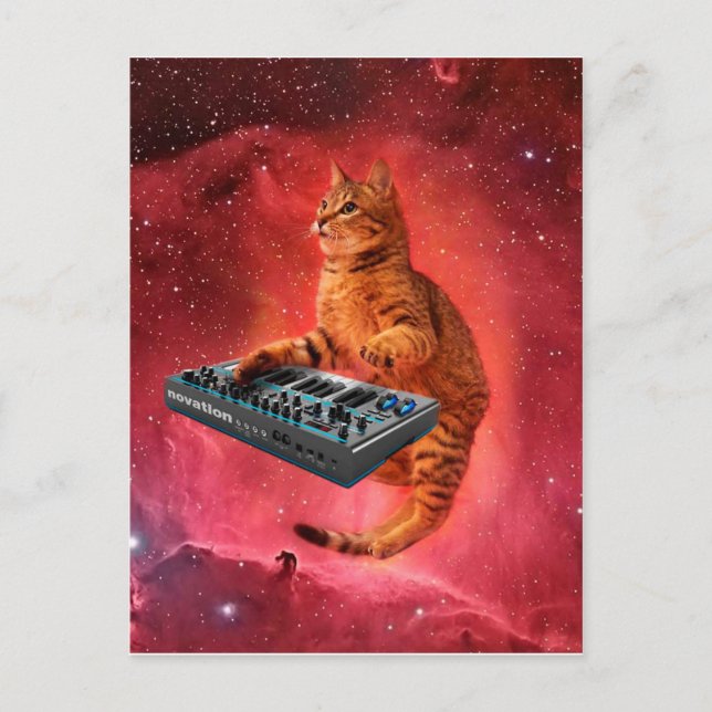 Sinthesizer cat in red space postcard (Front)