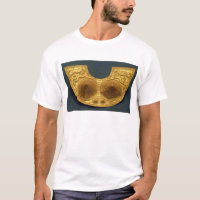 Sinu breastplate