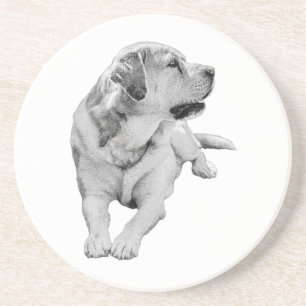 Sip Break, Steady Friend Coaster