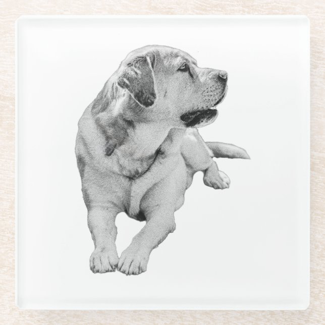 Sip Break, Steady Friend Glass Coaster (Front)