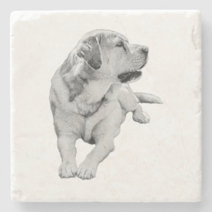Sip Break, Steady Friend Stone Coaster