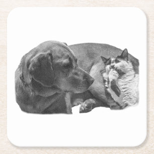 Sip Break with Pals Square Paper Coaster