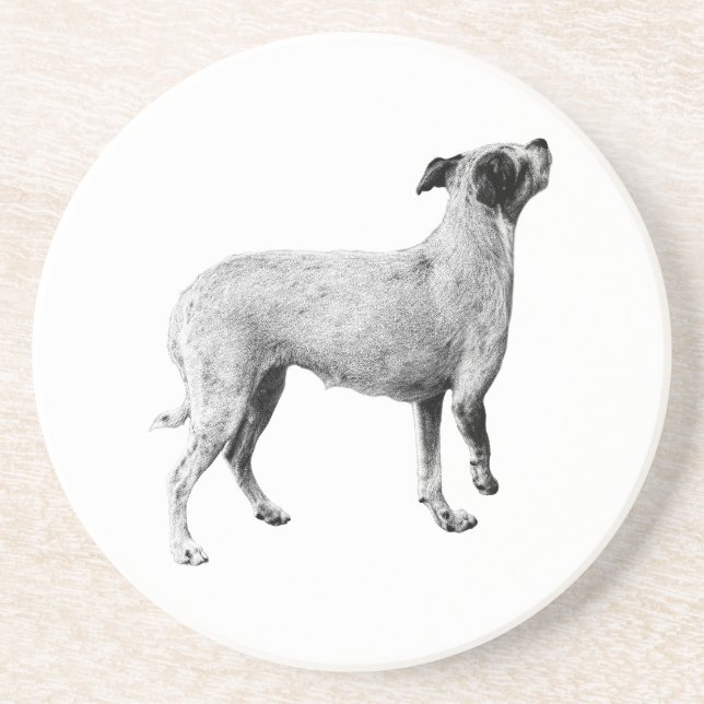 Sip Pause—Looking Up Coaster (Front)