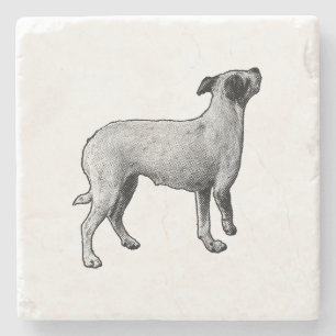 Sip Pause, Tiny Stars Stone Coaster