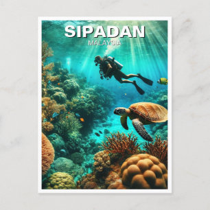 Sipadan Malaysia Scuba Diver Postcard