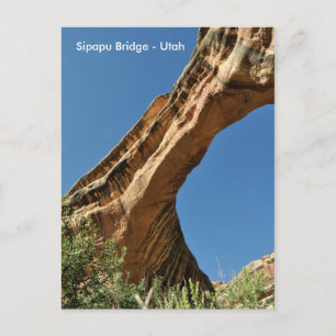 Sipapu Bridge - Natural Bridges National Monument Postcard