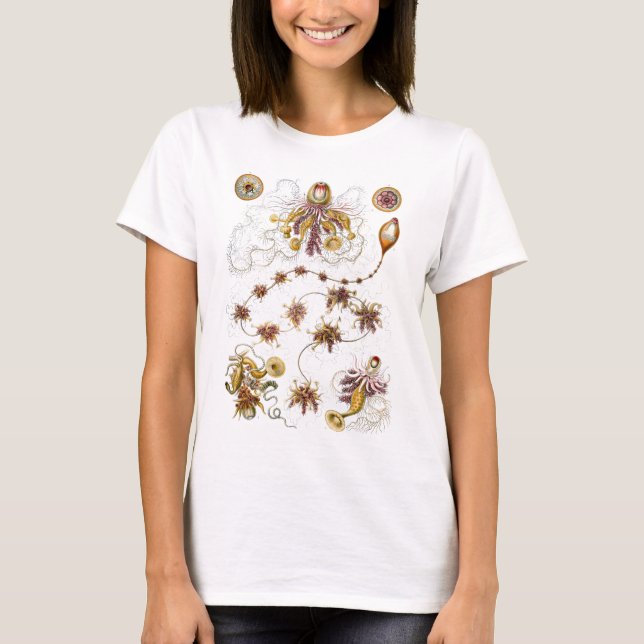 Siphonophorae Ernst Haeckel Fine Art T-Shirt (Front)