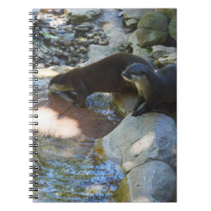 **"Sips by the Stream: Otters Drinking from River  Notebook