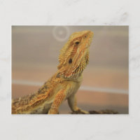 Sir Charles Posing