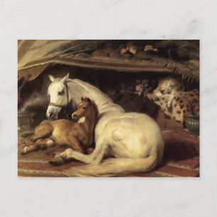 Sir Edwin Henry Landseer   The Arab Tent Postcard