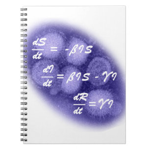 SIR Epidemiology Notebook