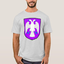 Sir Gawain t-shirt