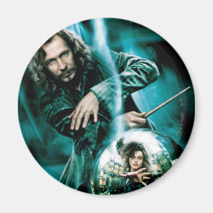 Sirius Black and Bellatrix Lestrange Magnet