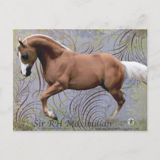 SirRHMaximilian2 Postcard