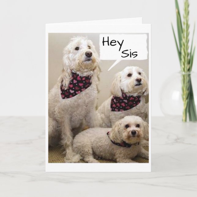 SIS WISHED "HAPPY BIRTHDAY" BY 3 PUPS CARD (Front)