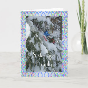 Sister and Family-Decorated Tree Outside Framed Holiday Card