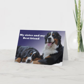 sister, bernese, happy birthday, best wishes, love card