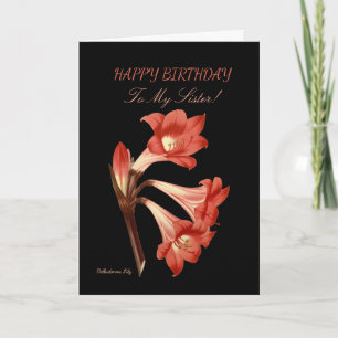 Sister Birthday Belladonna Lily  Card