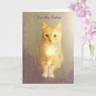 Sister Cancer Support Cute Cat Card