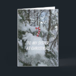 Sister Christmas-Candy Cane Holiday Card<br><div class="desc">Candy cane on snow covered tree.</div>