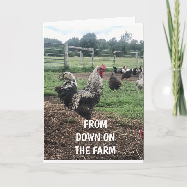 **SISTER HAPPY BIRTHDAY DOWN ON THE FARM" CARD (Front)