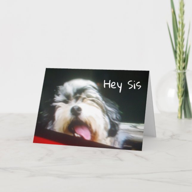 SISTER I AM **HANGIN' OUT TO SAY HAPPY BIRTHDAY** CARD (Front)