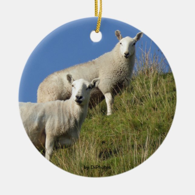 Sister Sheep Ornament (Front)