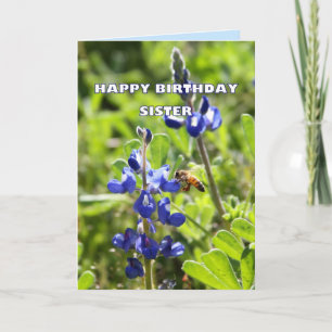 Sister Texas Bluebonnet Happy Birthday Card