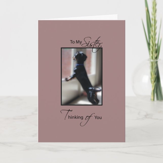 Sister Thinking of You with Little Dog, Get Well Card (Front)
