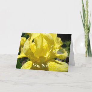 SISTERS are like SUNSHINE! Cards Sister Hey Sis!