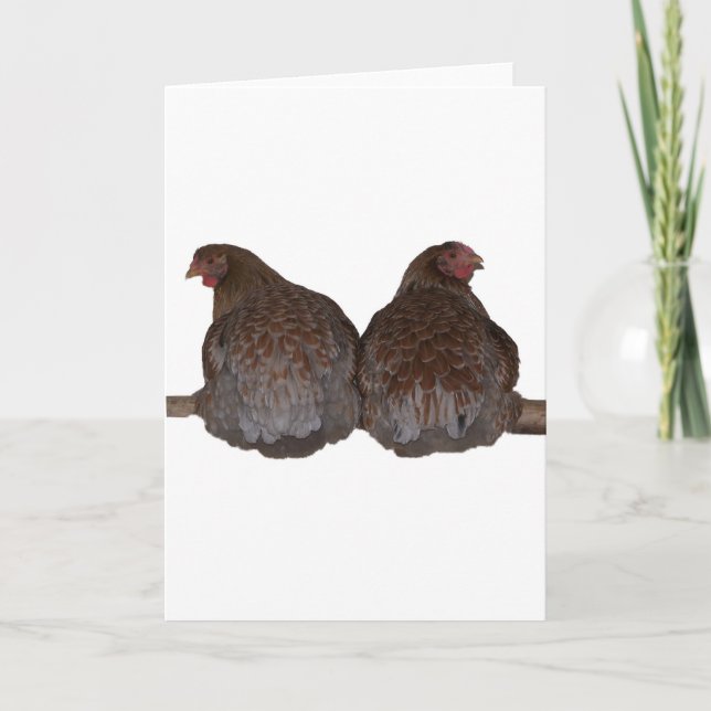 Sisters - Blue Laced Wyandotte Hens Roosting Card (Front)