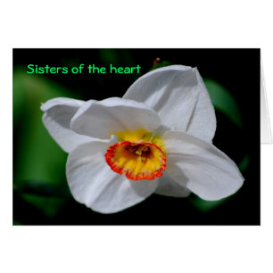 Sisters of the heart