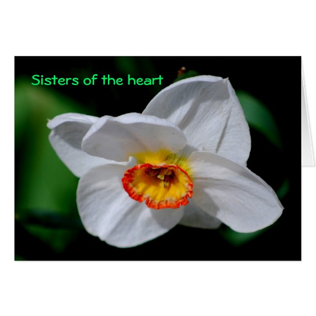 Sisters of the heart (Front Horizontal)