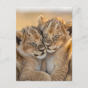 Sisters of the Savanna Postcard