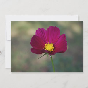 Sister's Perfect Flower Invitation
