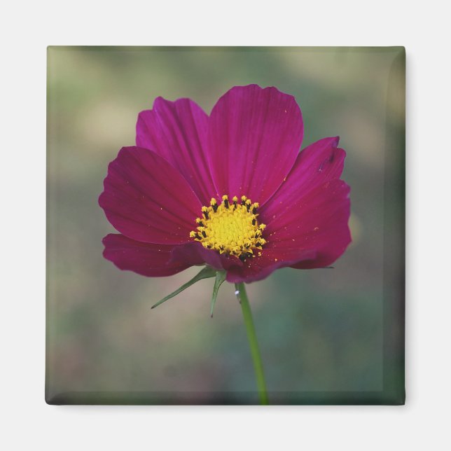 Sister's Perfect Flower Magnet (Front)