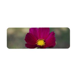 Sister's Perfect Flower Return Address Label