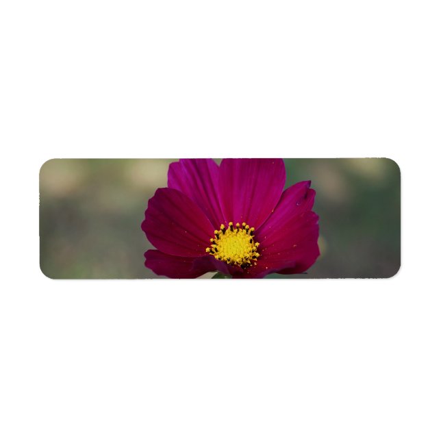 Sister's Perfect Flower Return Address Label (Front)