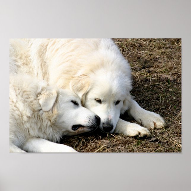 Sisters Poster (Front)