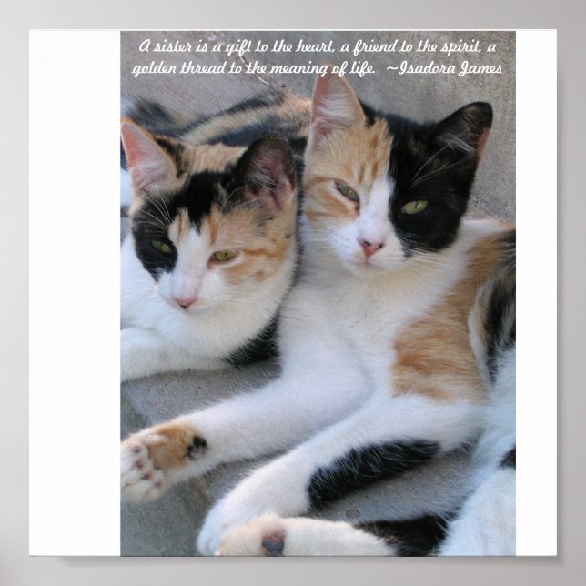 Sisters Poster (Front)