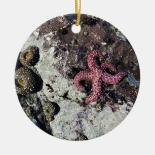 Sisters Rock State Park, Oregon Coast Ceramic Ornament