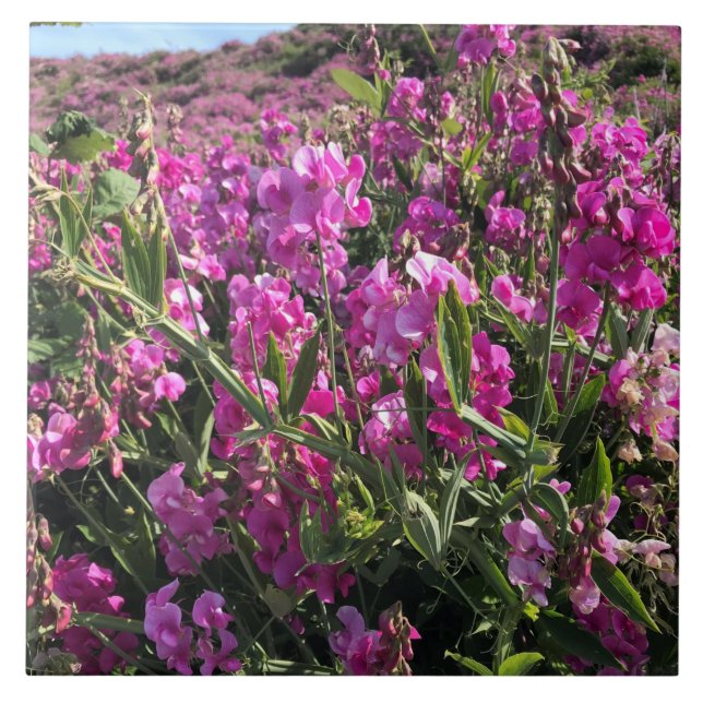 Sisters Rock State Park, Oregon Coast Ceramic Tile (Front)