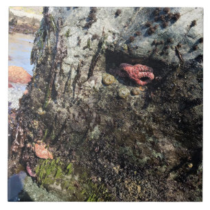 Sisters Rock State Park, Oregon Coast Ceramic Tile