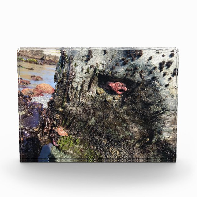 Sisters Rock State Park, Oregon Coast Photo Block (Front)