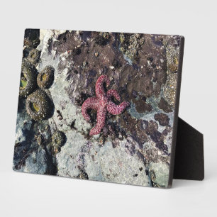 Sisters Rock State Park, Oregon Coast Plaque