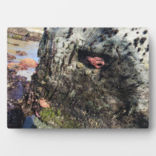 Sisters Rock State Park, Oregon Coast Plaque